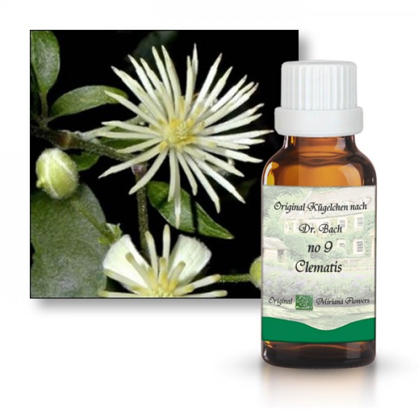 Bachbl�tenessenz Gew�hnliche
                      Waldrebe (Clematis)