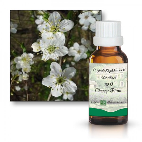 Bachbl�tenessenz Kirschpflaume (Cherry
                      Plum)