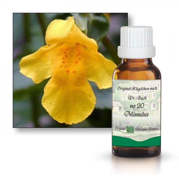Bachbl�tenessenz Gefleckte
                      Gaucklerblume (Mimulus)