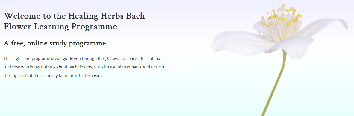 Bach Flower Healing Herbs web
              site, Walterstone, Hereford, England