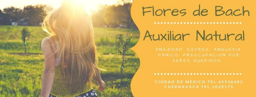 Flores de Bach,
              Mexico City