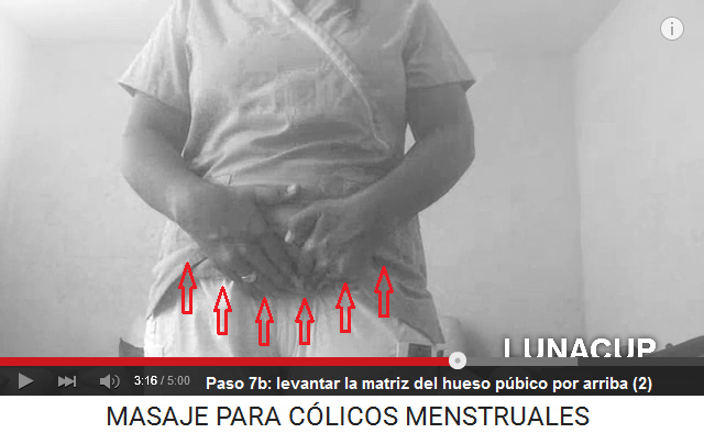 C�licos menstruales paso7b: levantar la
                    matriz del hueso p�bico por arriba (2)