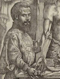 Andreas
                Vesalius