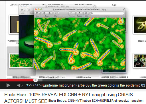 Ebola is an
                            epidemic with the green color 03