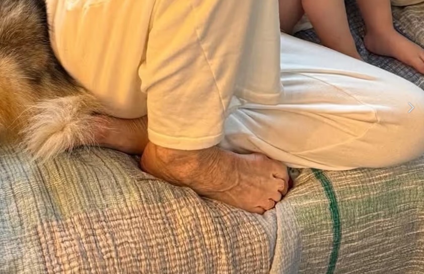 Sharon Osbourne mit
Ozempic-Abnehmspritze: Ihre Füsse sehen wie
80 Jahre alt aus - Zoom Sharon
Osbourne mit Ozempic-Abnehmspritze: Ihre
Füsse sehen wie 80 Jahre alt aus - Zoom