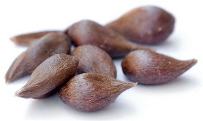 Apple seeds Apple seeds