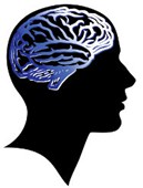 El
                      cerebro es m�s fuerte con b�rax