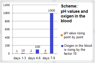 The scheme shows the
increasing pH and the potential increase of oxygen
in the blood by a factor of 10 per pH point The
scheme shows the increasing pH and the potential
increase of oxygen in the blood by a factor of 10
per pH point