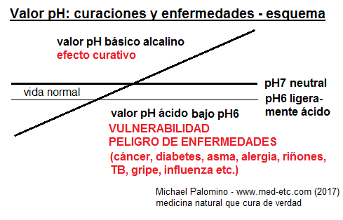 El esquema del valor
                        de pH: cuerpo �cido debajo de pH6 (vulnerable a
                        enfermedades), entre pH6 y pH7 para la vida
                        normal, con valor neutral de pH7, y con un valor
                        b�sico alcalino curativo sobre pH7 entre pH7 y
                        pH8