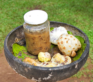 noni juice in
                a glass with ripe white noni fruits aside