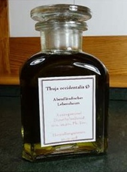Thuja extract (research seminars of Rainer
Taufertshöfer) Thuja extract (research
seminars of Rainer Taufertshöfer)