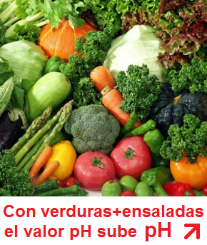 verduras y ensaladas, el valor pH
                              sube