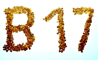 Schriftzug "B17" aus bitteren
                        Aprikosenkernen