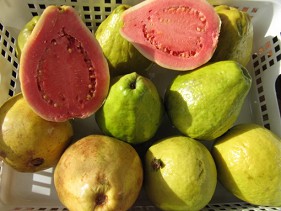 guayaba,
                  frutas abiertas