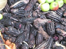 Ma�z /
                  choclo negro