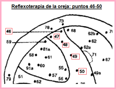 La oreja con los
puntos 46 a 50 La oreja con los
puntos 46 a 50