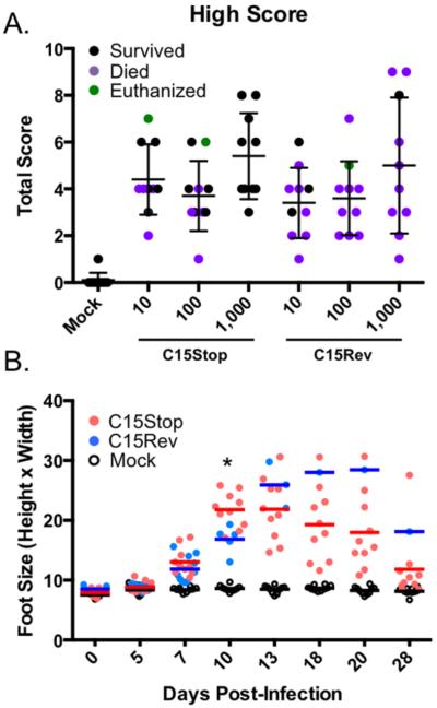 Studie von 2016 Grafik 03 Studie
von 2016 Grafik 03