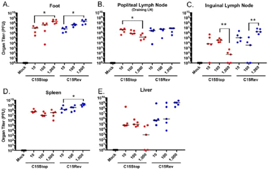 Studie von 2016 Grafik 05 Studie
von 2016 Grafik 05
