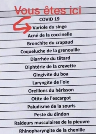 1.6.2022: Die Liste der
                  kriminellen WHO mit den Fantasie-Pandemien