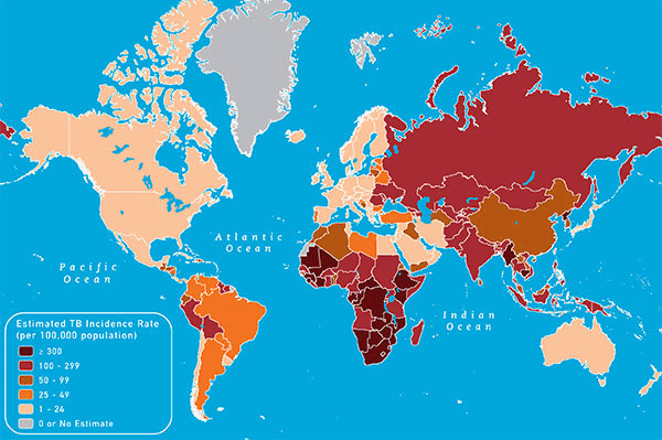Weltkarte mit geschtzten TB-Raten 2009
