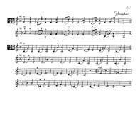 Page 10: Das St�ck von Schneider hat
                            verschiedene Doppelgriffen mit einleitendem
                            Legato, inklusive Prime. Die Fingerstellung
                            und die Position des linken Arms m�ssen
                            entsprechend angepasst werden (Schneider)