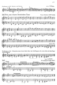 Page 17: Franz Schubert: Trio aus einem
                            Deutschen Tanz mit Doppelgriffen, mit einer
                            Vor�bung von Schloder, sowie ein Grave von
                            B. Campagnoli, ebenfalls mit einer Vor�bung
                            von Schloder