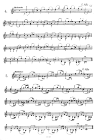 Page 21: Doppelgriffstudien Nr. 4 und 5
                            von E. Polo mit vielen Fingerwechseln im
                            Legato, w�hrend andere Finger gehalten
                            werden