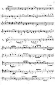 Page 22: Doppelgriffstudien Nr. 6 und 7
                            von E. Polo, mit vielen Fingerwechseln im
                            Legato, w�hrend andere Finger gehalten
                            werden