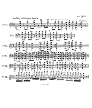 Page 30: Vierstimmige Akkorde, z.T. in
                            hohen Lagen (Paganini, aus Guhr)