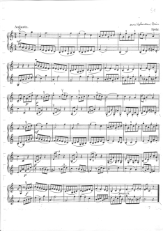 Duoalbum 1.Lage, Seite 51 Duoalbum 1.Lage, Seite 51