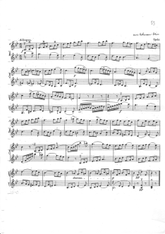 Duoalbum 1.Lage, Seite 53 Duoalbum 1.Lage, Seite 53