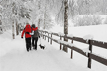 Neuschnee-Spaziergang [1]