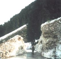 Eine
                          Strasse f�hrt durch einen etwa dreist�ckigen
                          Lawinenkegel [14]