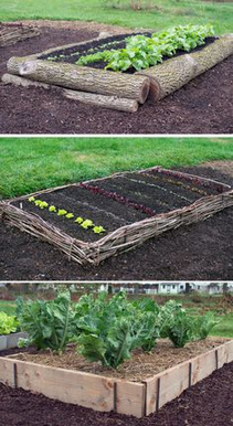 raised bed with natural border:
                  tree trunk, mesh, boards