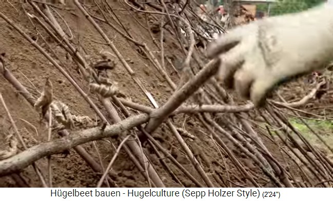 Hill bed workshop
                    with Sepp Holzer in Austria 14b: Long strong
                    branches are placed horizontally and are fixed with
                    wooden nails at "intersections"