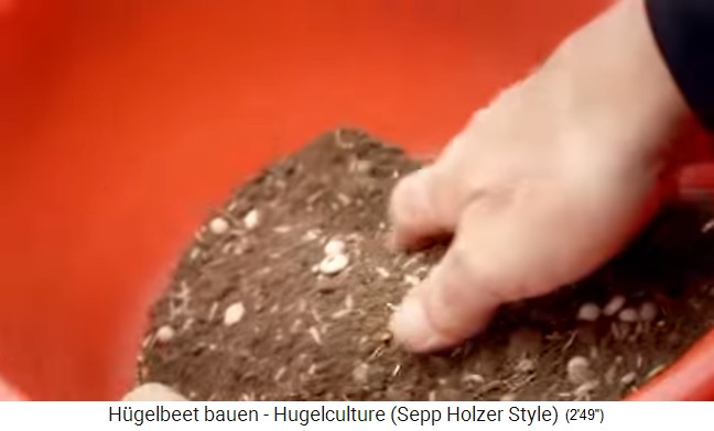 Hillbed workshop with Sepp Holzer in
                    Austria 17: The seed mixture is "mixed"
                    with some soil