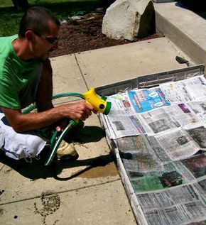 Put newspaper against weeds and pour it
                  with water