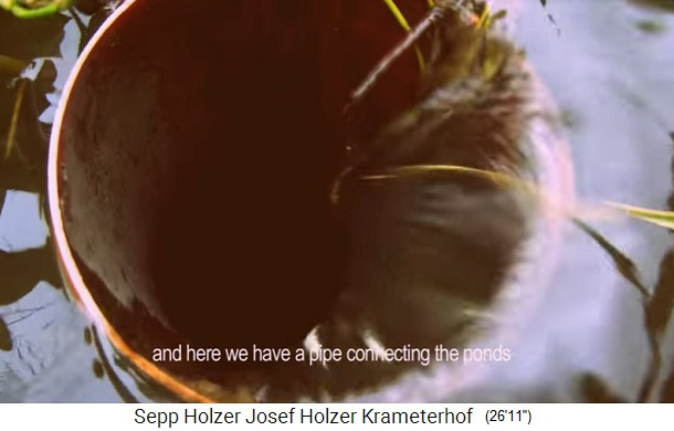 Schwenkbarer Teich�berlauf
                  ("Teichm�nch") in einem Teich auf dem
                  Krameterhof von Sepp Holzer in �sterreich