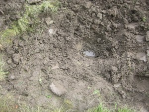 Teich im schweren Lehmboden: Teichgrube