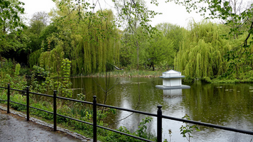 Entenh�uschen in der Region Wismar
                    im M�hlenbach