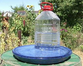 Vogeltränke mit einer
              Plastikflasche mit Schlitz, aufgestellt in einer Schale
