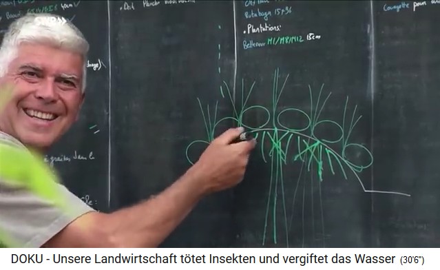 Bauernhof in "Le Bec
                            Hellouin" in Frankreich, Charles
                            Herv�-Gruyer erkl�rt das H�gelbeet-Prinzip,
                            Schema