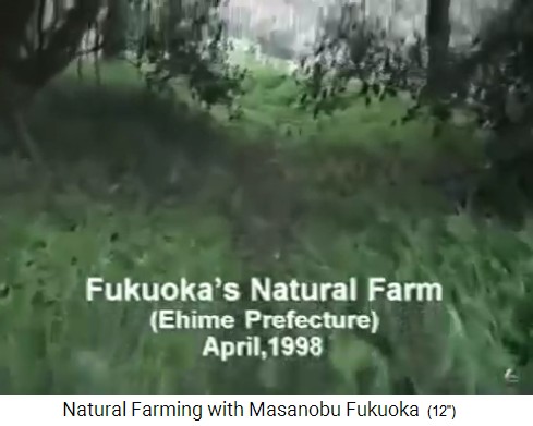 Título de la película 1: La granja
                    orgánica de Fukuoka (Fukuoka's Natural Farm) en el
                    distrito de Ehime [en la isla de Shikoku], Japón,
                    abril de 1998