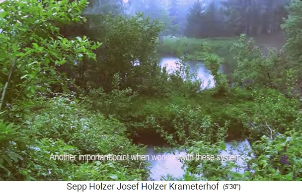 Granja Krameterhof de Sepp Holzer, 2 estanques
                    del conjunto alto de estanques