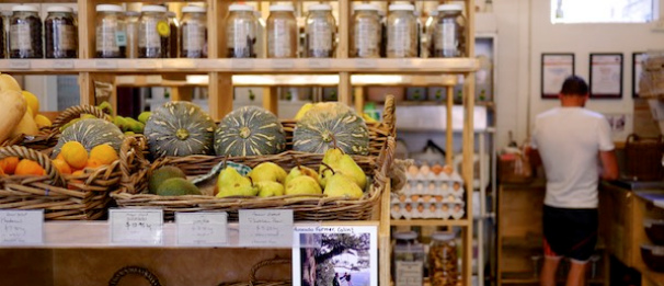 Melliodora, K�rbisse,
                  Mandarinen, Avokados und Birnen im Angebot