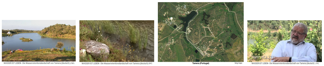Tamera (Portugal), un lago y la
                                    recultivación con la asistencia por
                                    el Sr. Sepp Holzer 2007-2009