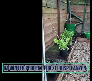 Im Winter sind sogar
                              Zitruspflanzen m�glich