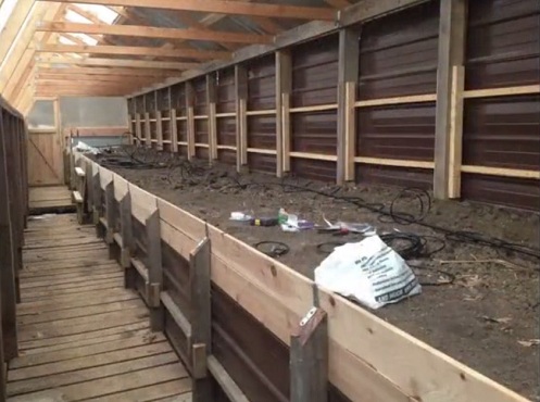 Das
                                Hochbeet (Erdtisch) ist komplett mit
                                Humus gef�llt