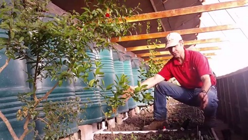 Das
                                Hochbeet im Walipini ist 46 bis 48 Inch
                                breit (116-120cm)