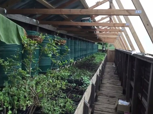 Das
                                Dach im Sommer: 1 Teil des Norddachs ist
                                durchsichtig